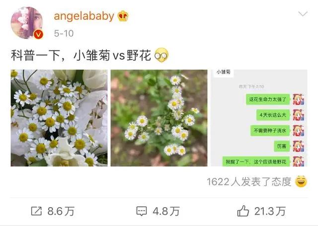 明星都用什么头像赵丽颖,明星照片关晓彤迪丽热巴