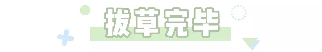 张馨予代购事件始末,张馨予找代购被骗事件反转