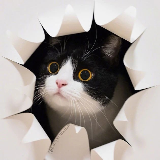 菊部边上长了个肉疙瘩,菊部周边有个白色脓包