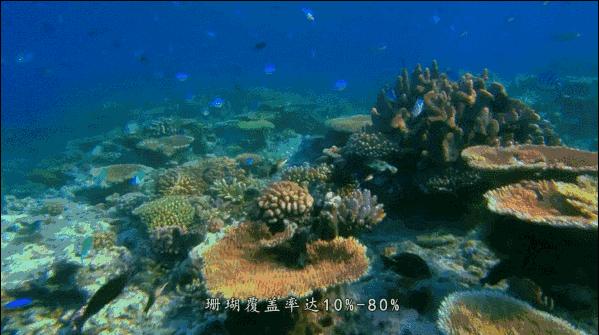 北海涠洲岛火山国家地质公园观赏,游览北海涠洲岛火山口地质公园