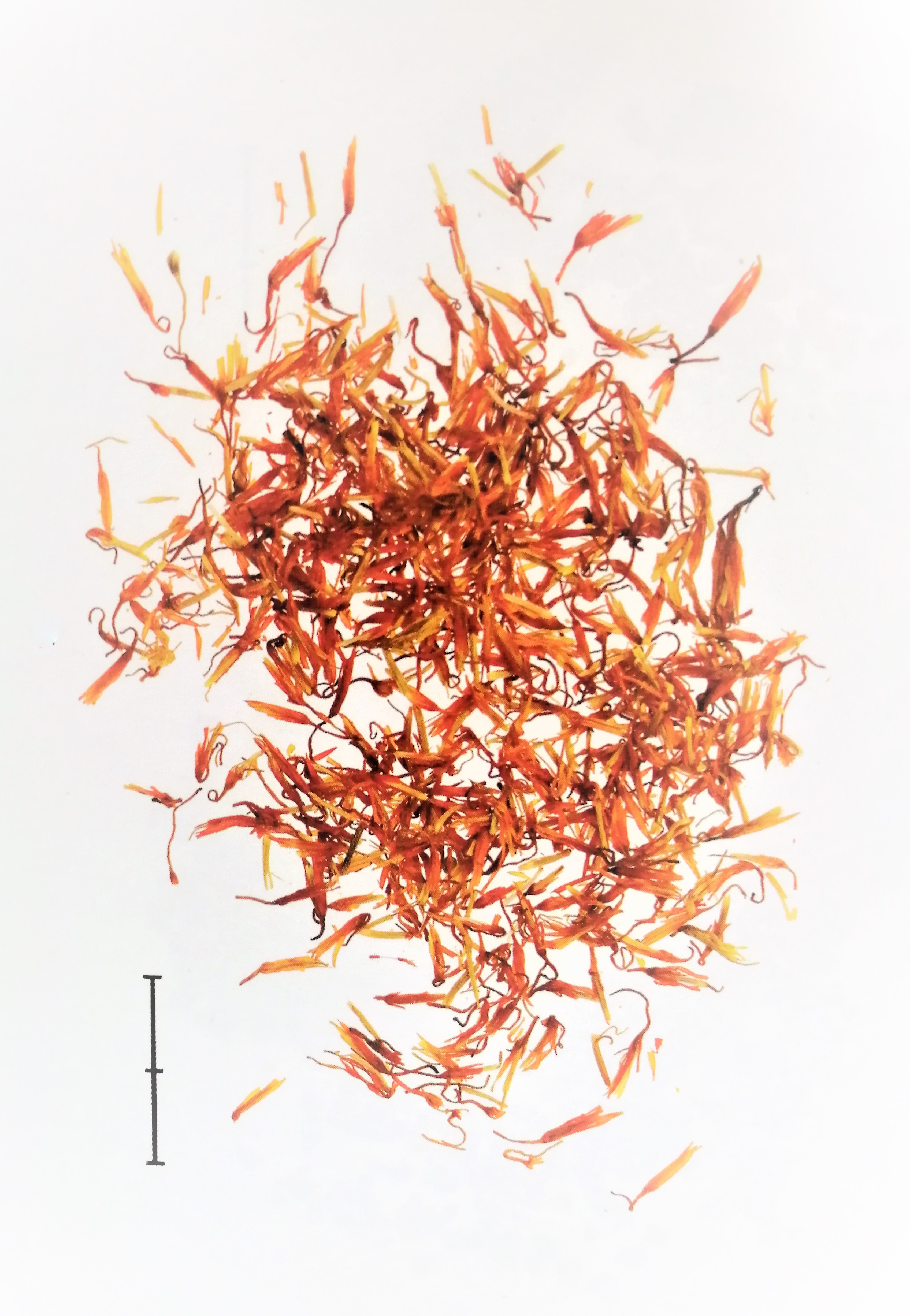 止痛中草药第一名,散瘀止痛的最佳方法