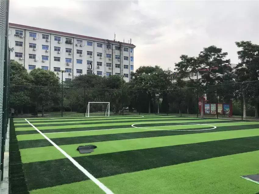 平顶山湛河足球场在哪里,平顶山哪个地方有足球场