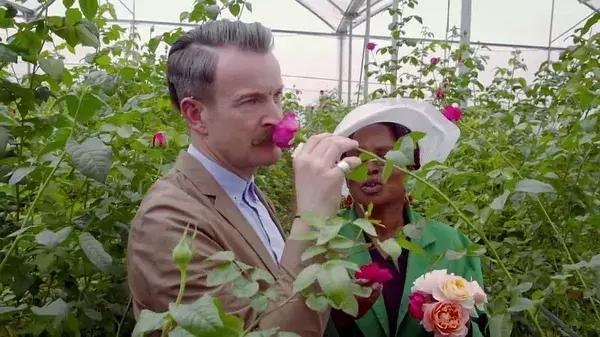 世界第一鲜花市场视频,bbc探秘墨西哥毒品战争