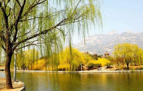 贺知章赞美春天的名句,贺知章幽默内涵经典诗词