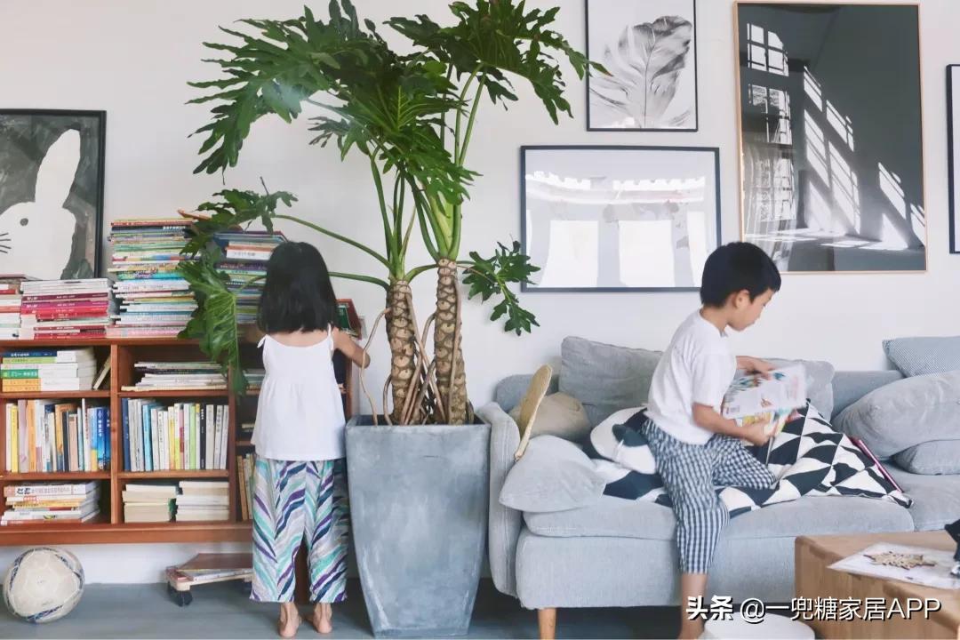 绉嶈崏鐢熸椿鏂瑰紡,绉嶈崏缁囧竷