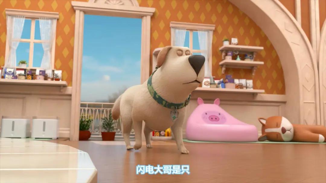 飞狗moco之小柯基的脑洞时刻,飞狗moco和他的小伙伴们