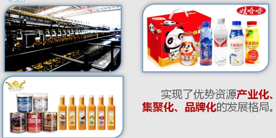 文化之城生态之城,文化底蕴旅游城市