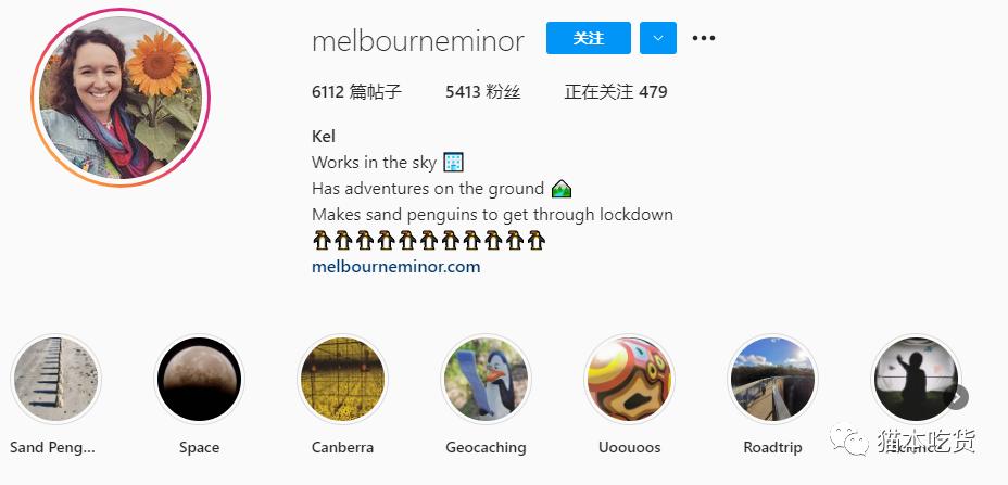 墨尔本两只相互依偎的企鹅,澳大利亚墨尔本看企鹅