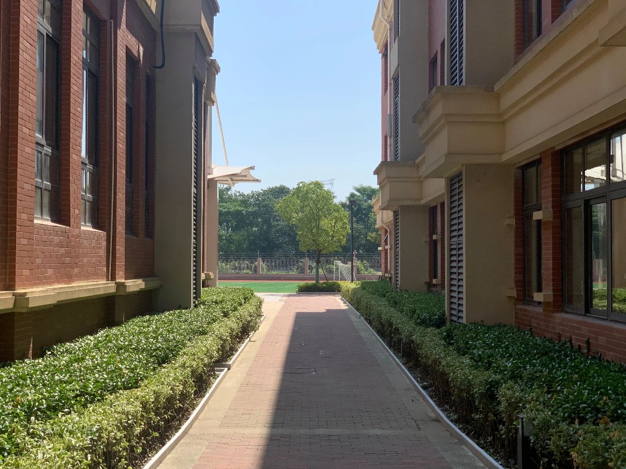 金中岱山教育集团,金中岱山东校区