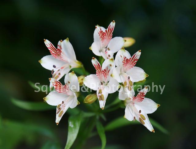 期权开户30万解决方法,期货期权个人开户