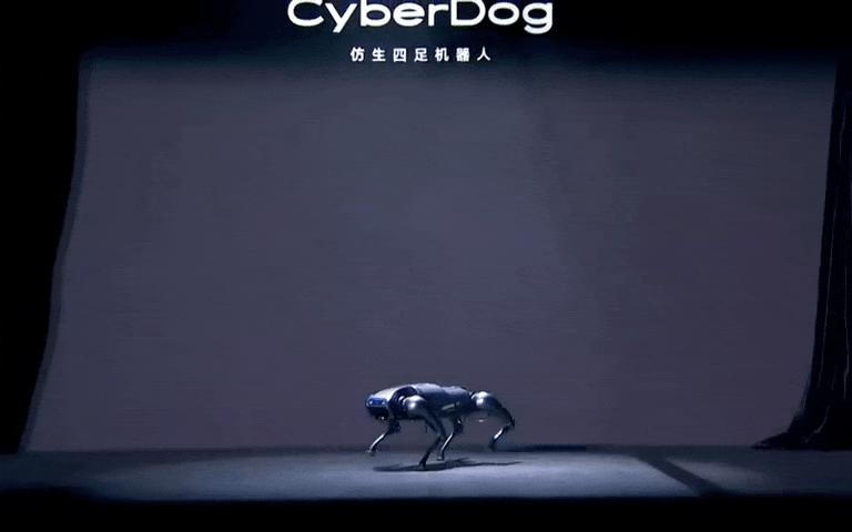 雷军铁蛋售价,雷军机器人铁蛋