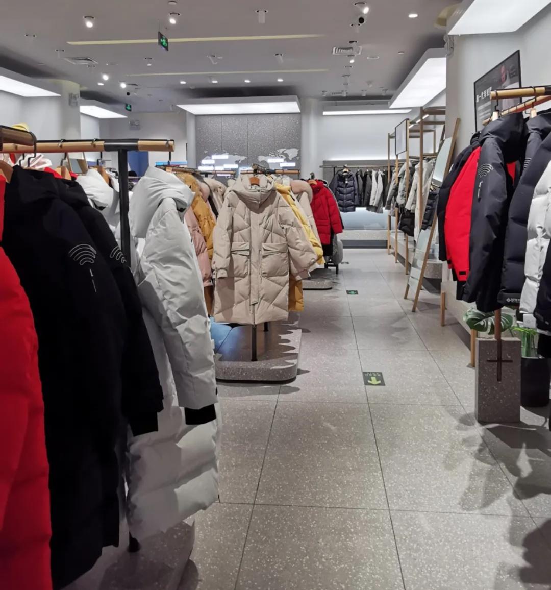 攒钱买波司登 (买大鹅还是买波司登)