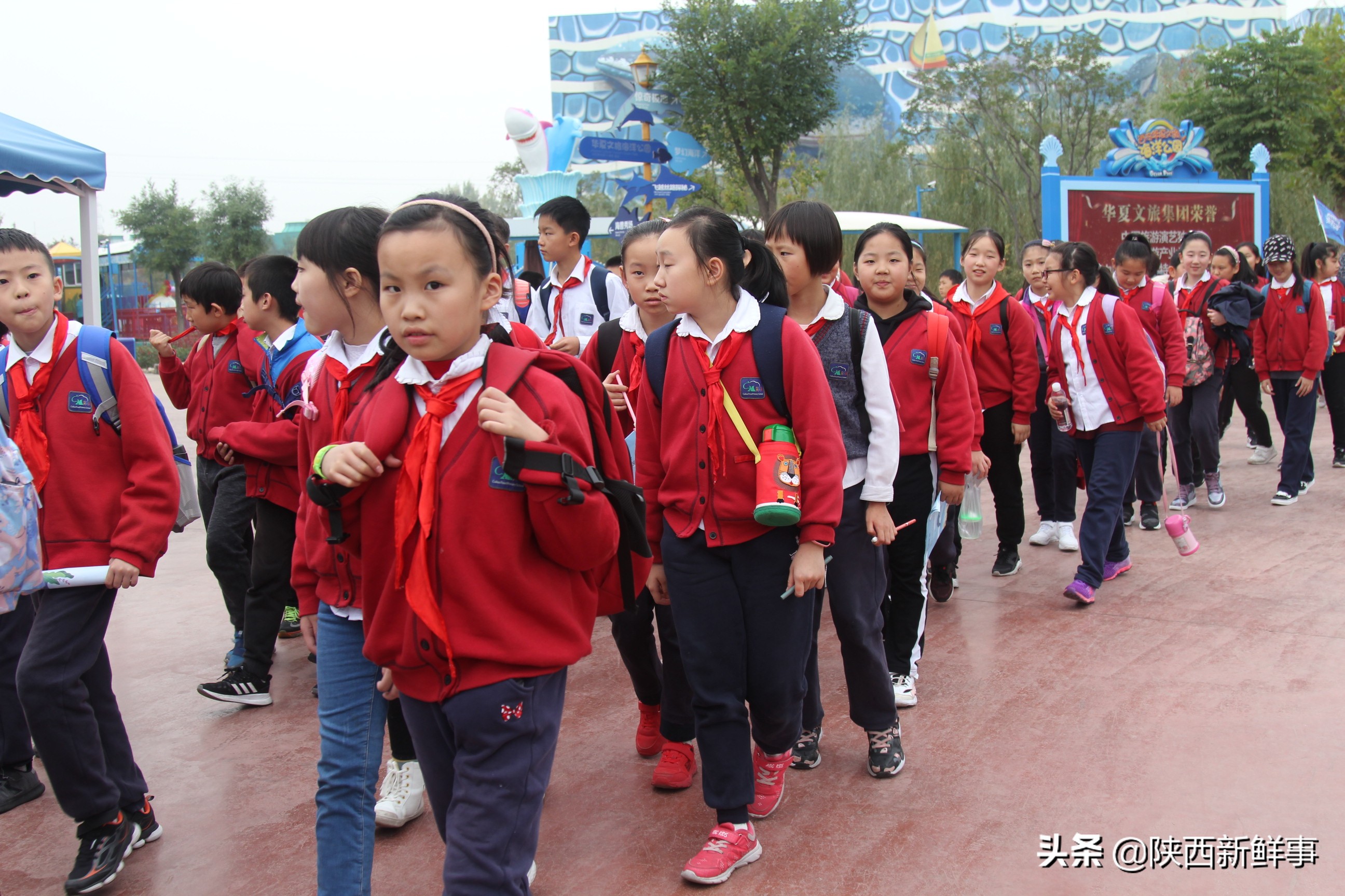 放飞海洋梦想感受丝绸传奇观后感,放飞海洋梦想感受丝路传奇研学题