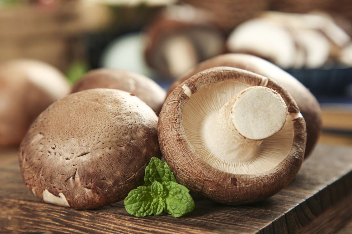 香菇买干的还是新鲜的划算 (香菇买新鲜的好还是干货的好)