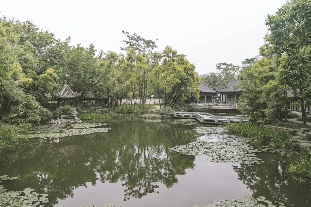 深圳周边自驾游一日游景点推荐,深圳30人报团一日游有什么景点