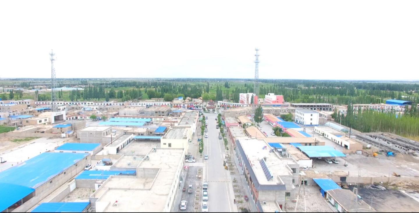 落实两会精神助力乡村振兴,落实市委全会精神六强