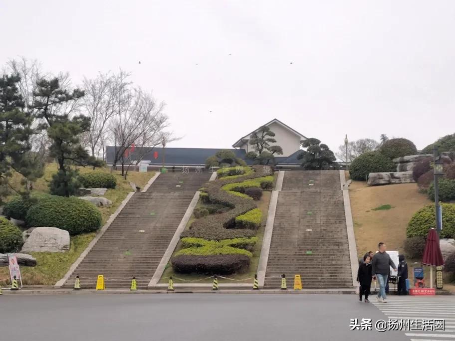 2元花盆批发,2元左右的花盆