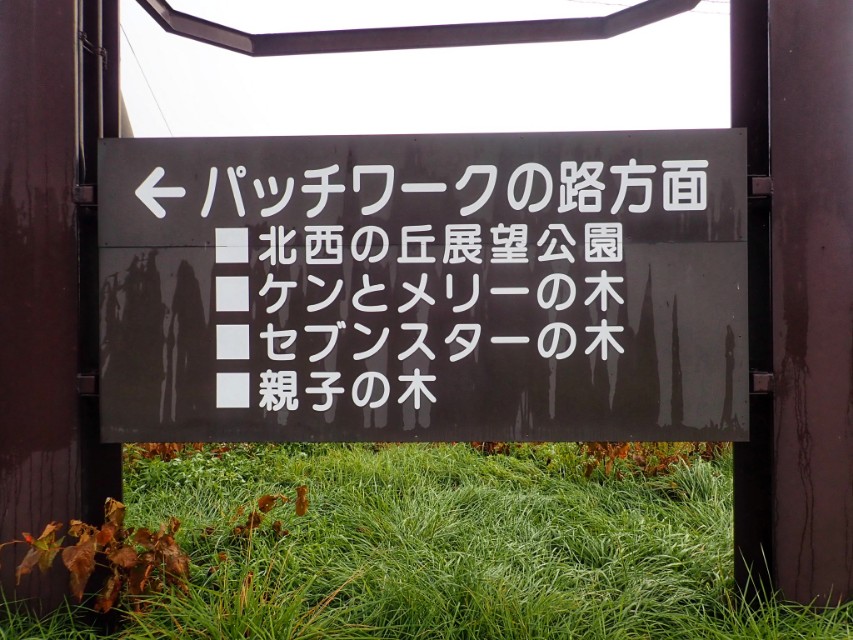 北海道登别到美瑛町需多久,日本北海道美瑛川的雪景