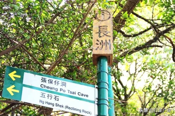 麦兜香港旅游攻略,香港旅游市井