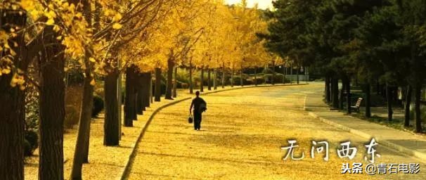 台湾十部顶级华语电影,近十年台湾经典华语电影