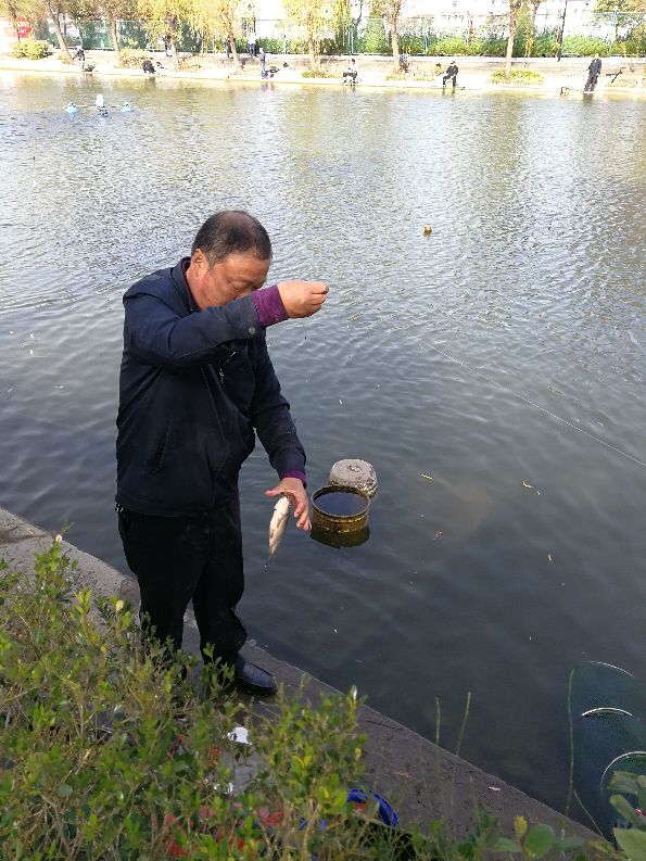 单位组织钓鱼活动,通州钓鱼活动