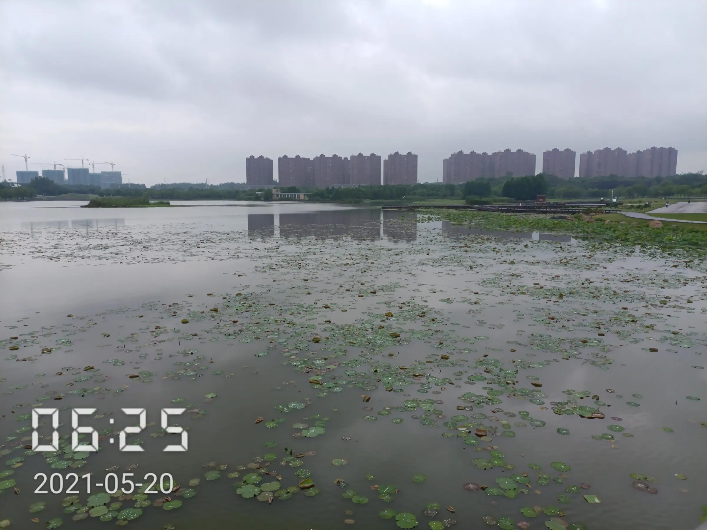 和城管斗智斗勇的一天,跟城管斗智斗勇的一天