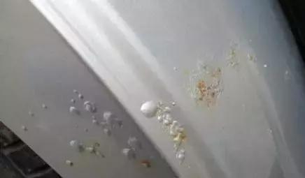 汽车漆面起泡是怎么回事,漆面起泡修复