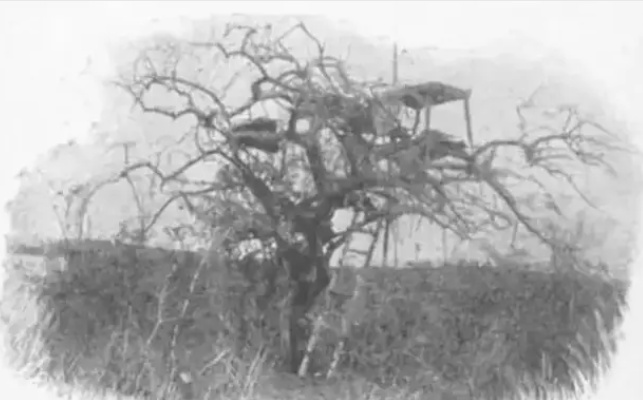 有枪就不怕狮子吗？不是！看帕特森中校在非洲经历了什么