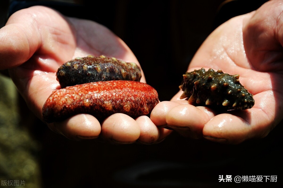 网上卖的海参真假,市面的海参是真是假