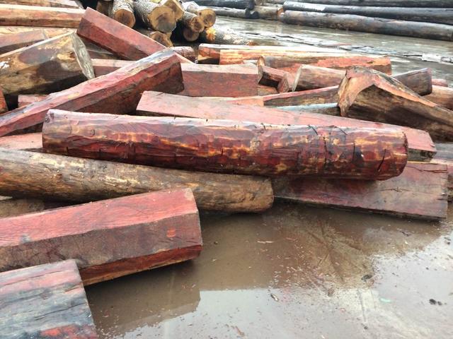 有些人买不起红木家具就说不好看,越来越多人不想买房子