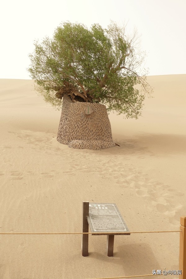 鸣沙山月牙泉堆满了游客,鸣沙山月牙泉景区