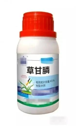 为什么草甘膦快速上涨了,今日草甘膦原药最新行情