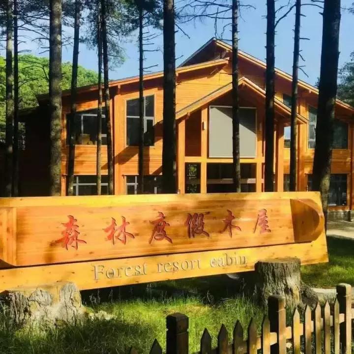 全国最美民宿和特色酒店,五星级大型酒店