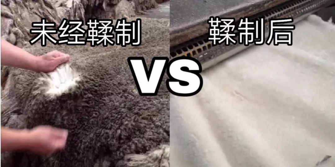 澳洲原装进口ugg靴,深扒izone