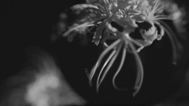 封面故事,封面朱一龙