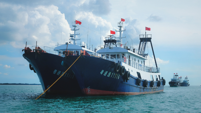 广东湛江旅游攻略美食,湛江旅游海鲜推荐一下