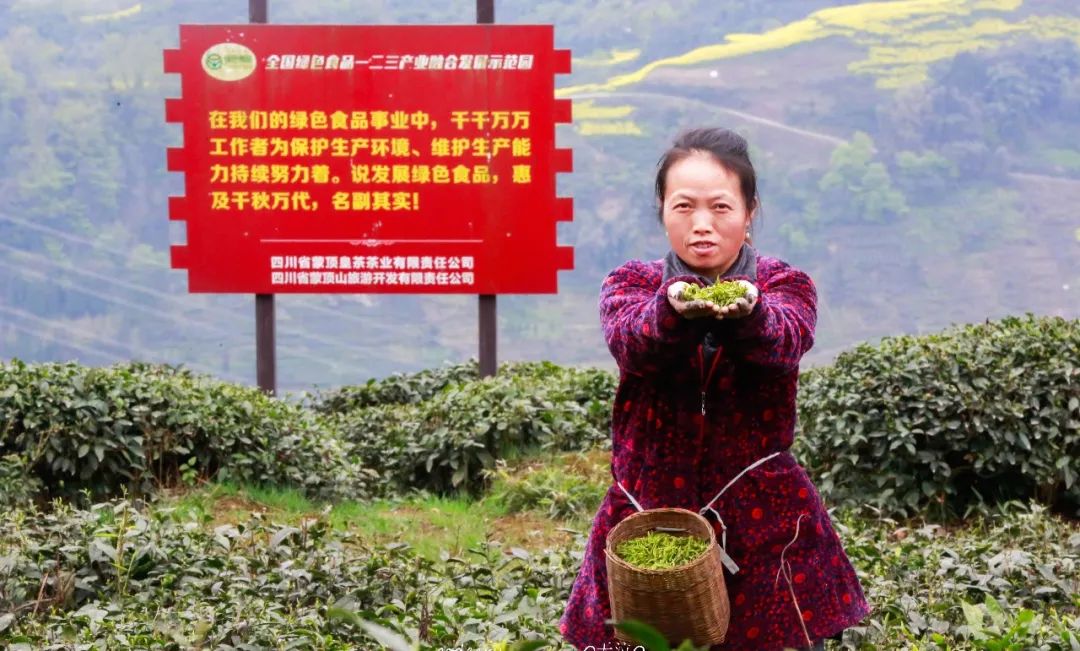 我们争分夺秒加班加点,就是为了奉上今春这第一波蒙顶皇茶!