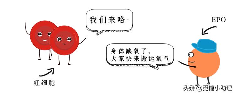 抗癌专家30年治疗癌症,癌症免疫治疗诺贝尔奖