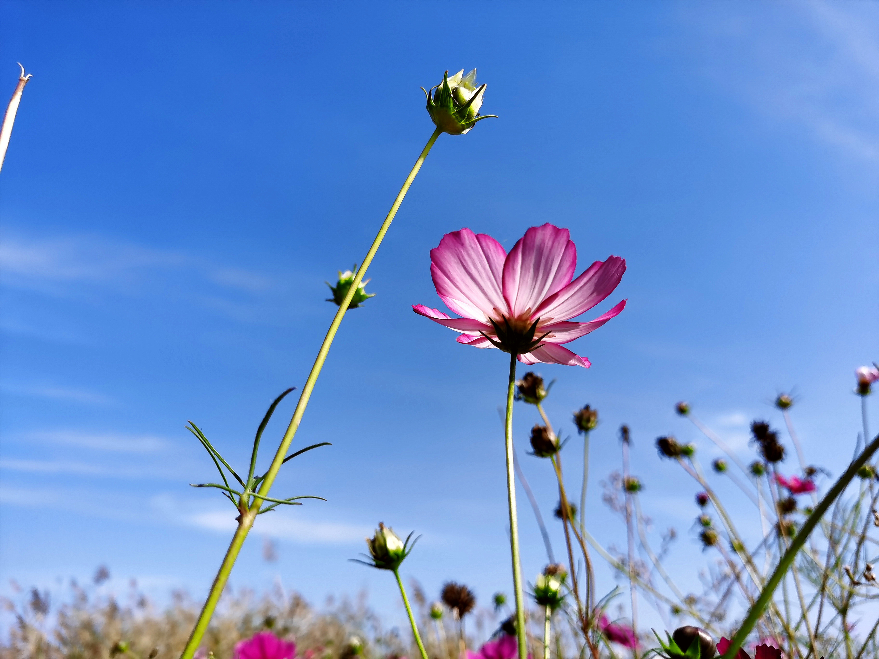 荆山旅游景点大全,荆山美景