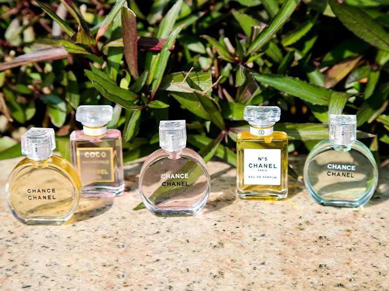 香奈儿5款最受欢迎的香水，你买过其中哪一款？