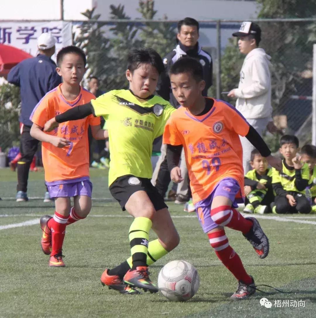 足球训练营公益,足球带给孩子们更多的快乐和成长