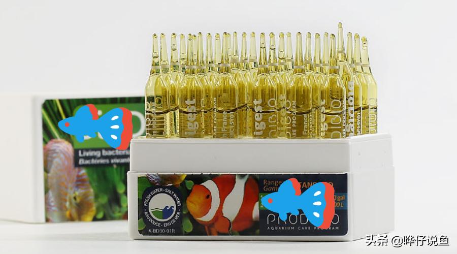 怎样快速培养鱼缸硝化细菌,如何快速培养鱼缸硝化细菌