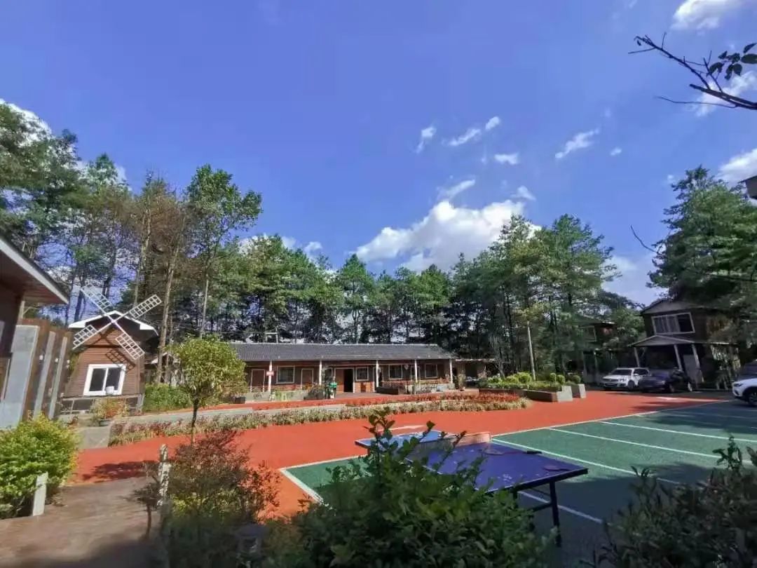 赏春图鉴丨赏花海、品清茶、尝美食...乌当百宜镇这条宝藏春游线路，就等你来打卡啦！