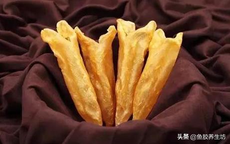 鱼胶知识书籍,鱼胶的知识抖音视频