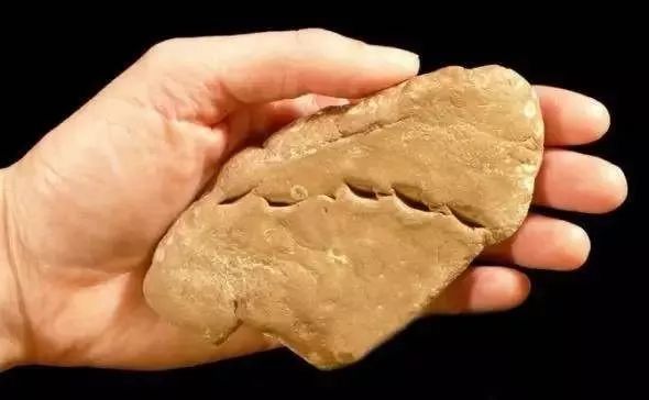 女人需不需要口红,女人没有化妆品会怎么样