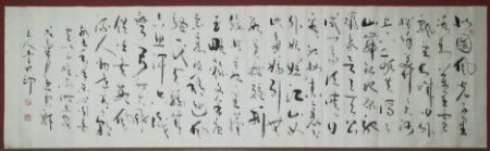 不须扬鞭自奋蹄上一句,李红印视频