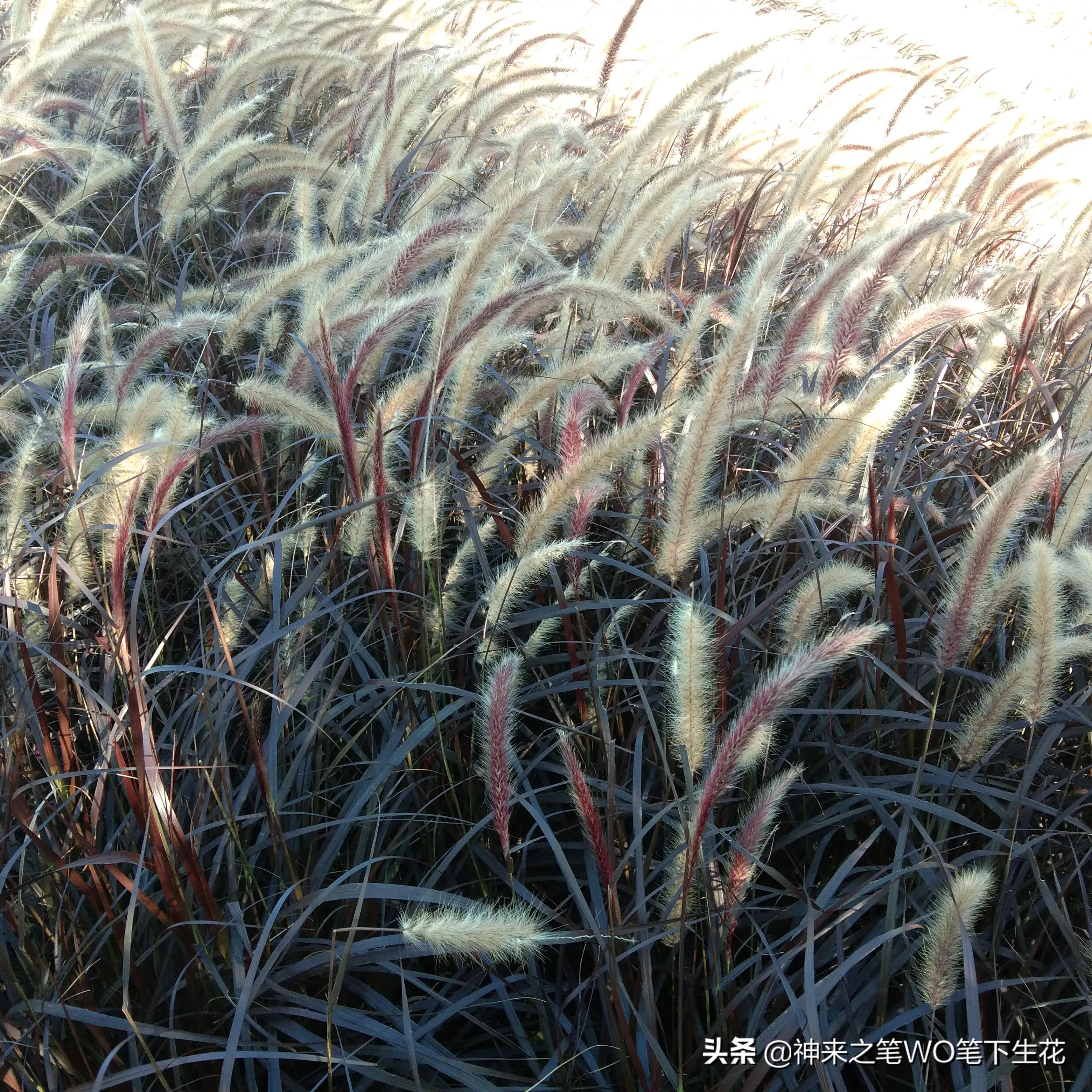 平安信贷专员为什么一直招人,平安信贷专员