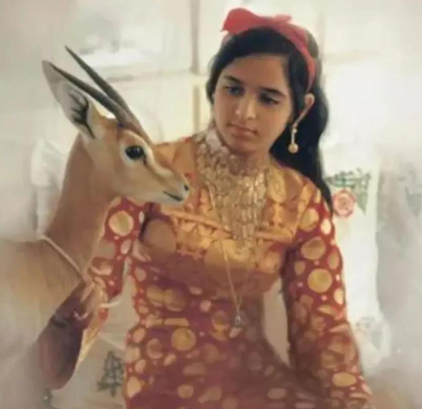 迪拜酋长穆罕默德坐拥百亿资产,迪拜酋长穆罕默德六个妻子