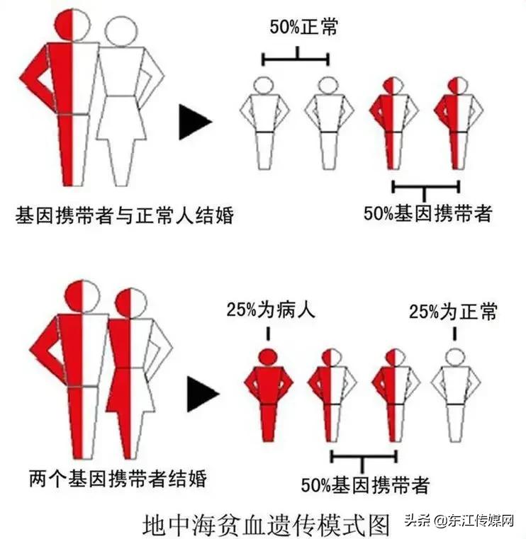 注意！这个病专宠广东人！结婚前一定要做这个检查