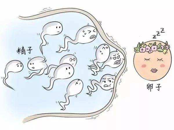 更年期有没有怀孕的可能,更年期是不是就不会怀孕了